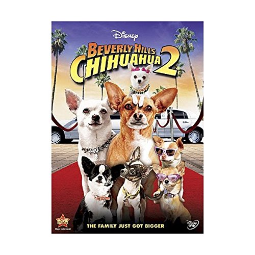 BEVERLY HILLS CHIHUAHUA 2