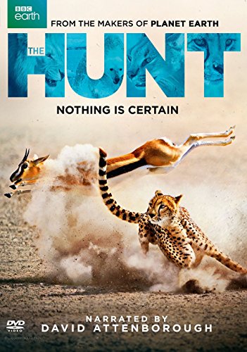 HUNT (DOCUMENTARY)  - DVD-BBC