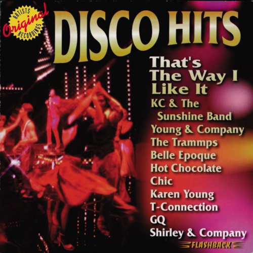 VARIOUS ARTISTS - DISCO HITS: THAT'S THE WAY I..