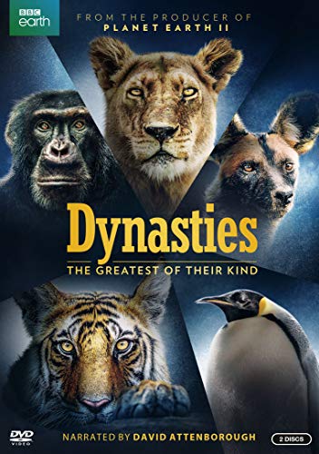 DYNASTIES