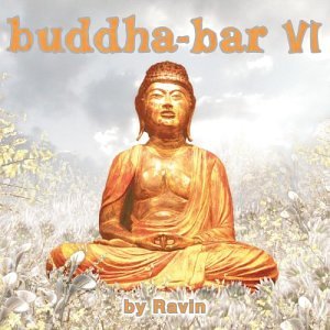 VARIOUS - BUDDHA BAR VI