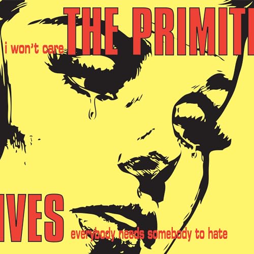 THE PRIMITIVES - I WON'T CARE (VINYL)