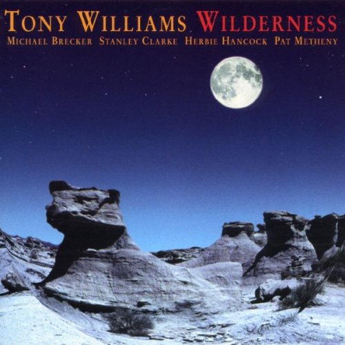 WILLIAMS, TONY - WILDERNESS