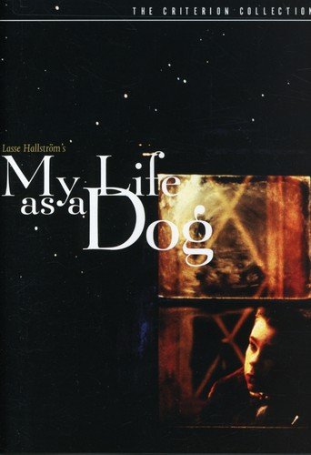 MY LIFE AS A DOG (THE CRITERION COLLECTION)