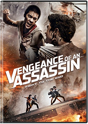 VENGEANCE OF AN ASSASSIN (2014)^VENGEANCE OF AN ASSASSIN