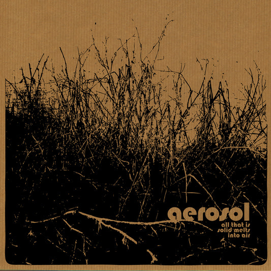 AEROSOL  - ALL THAT IS SOLID MELTS INTO...