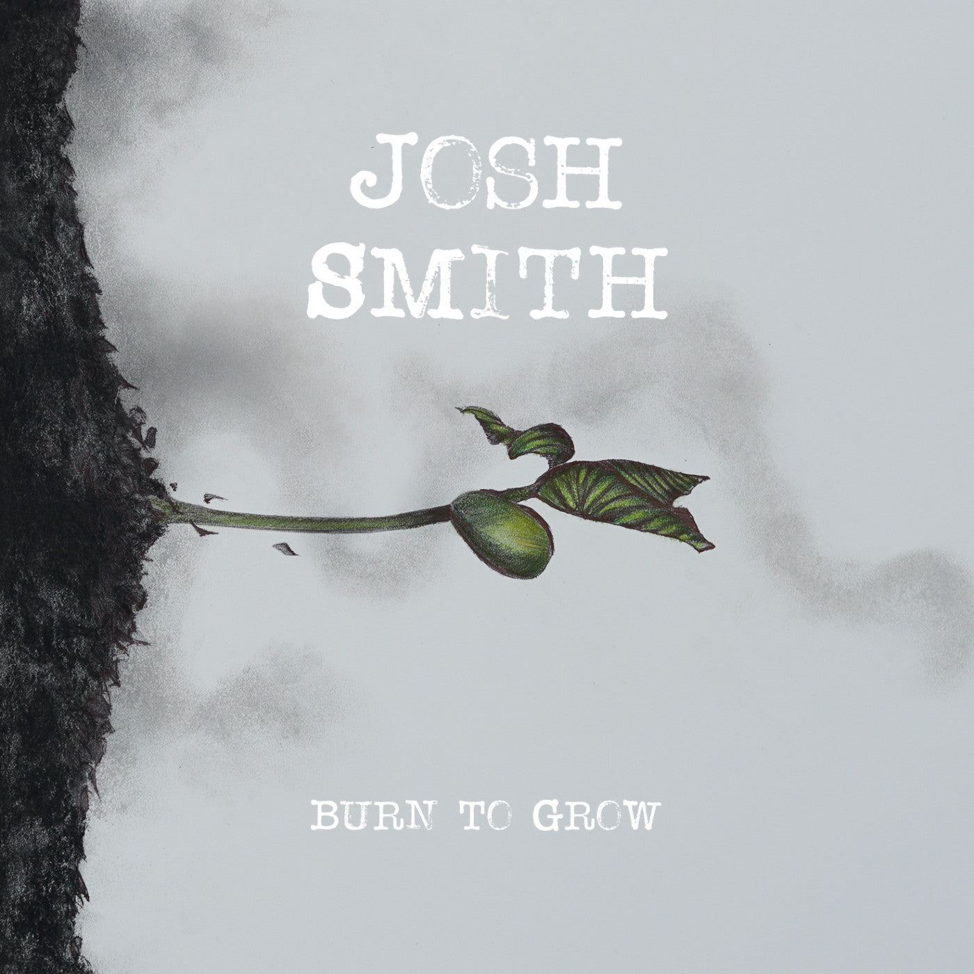 SMITH, JOSH - BURN TO GROW