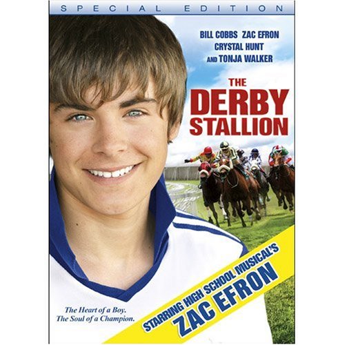 THE DERBY STALLION