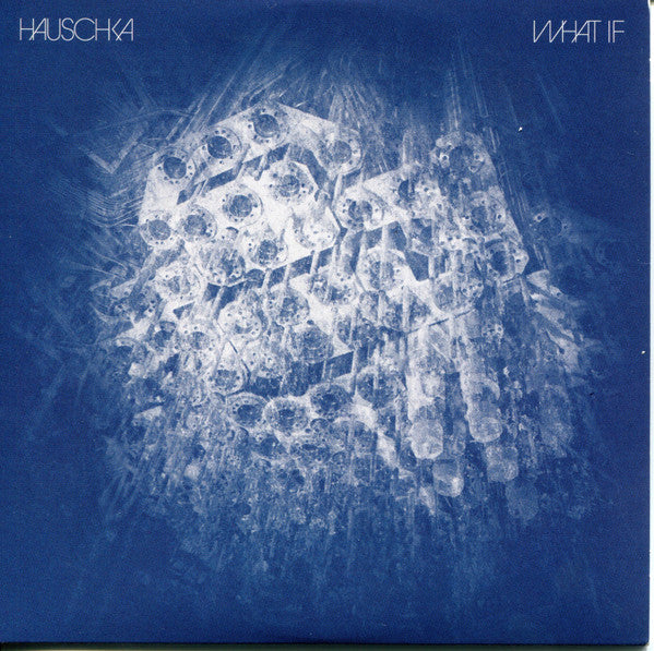 HAUSCHKA  - WHAT IF