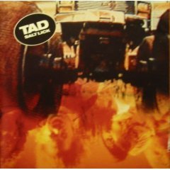 TAD - SALT LICK