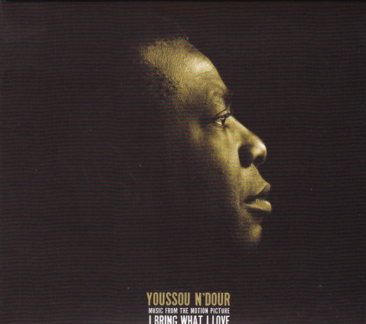 N'DOUR, YOUSSOU  - I BRING WHAT I LOVE