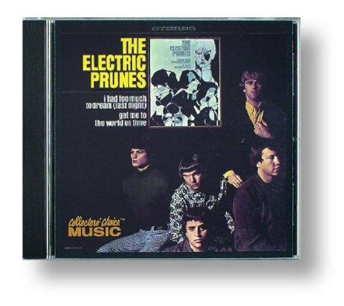 ELECTRIC PRUNES - I HAD TOO MUCH TO DREAM