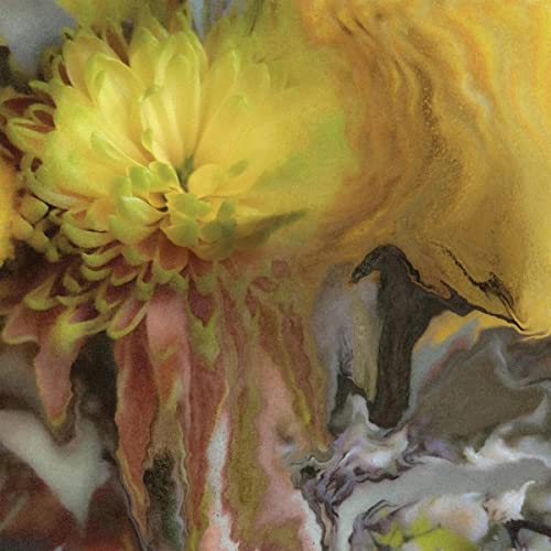 PARKER MILLSAP - WILDERNESS WITHIN YOU (VINYL)