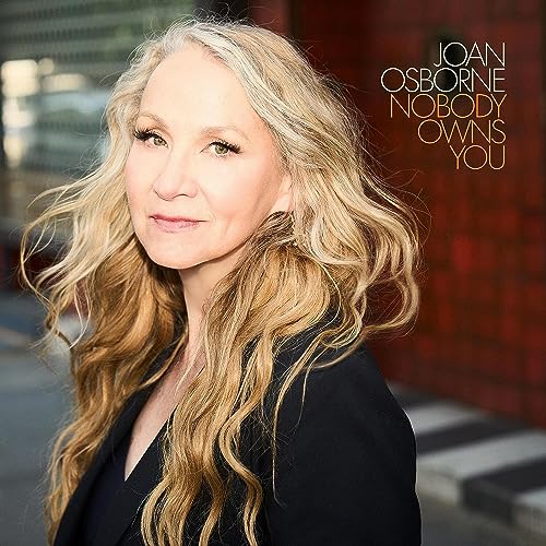 JOAN OSBORNE - NOBODY OWNS YOU (VINYL)