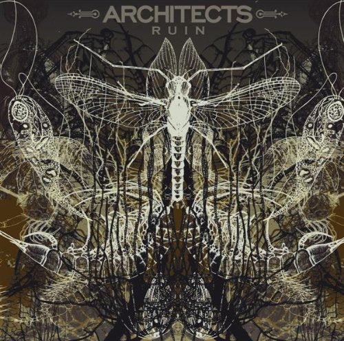 ARCHITECTS - RUIN