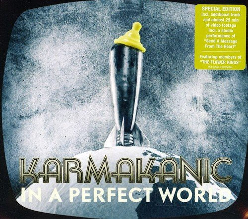 KARMAKANIC - IN A PERFECT WORLD