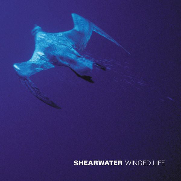 SHEARWATER  - WINGED LIFE