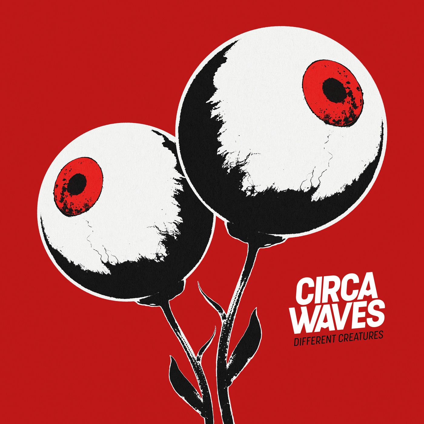 CIRCA WAVES  - DIFFERENT CREATURES