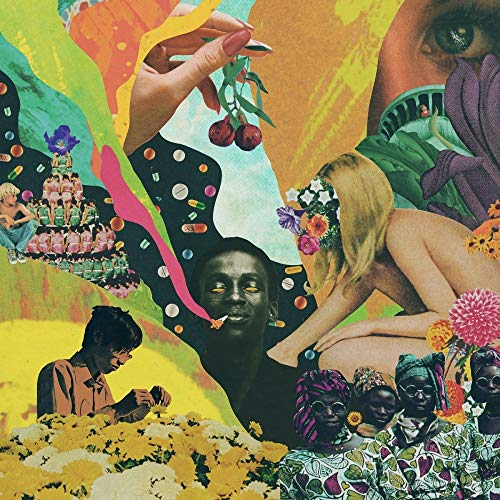 DIRTY ART CLUB - GARDENS (2LP)