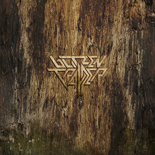 BLITZEN TRAPPER - FURR (VINYL)