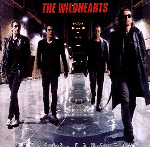 WILDHEARTS - ENDLESS NAMELESS (CD)