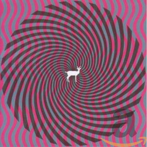 DEERHUNTER - CRYPTOGRAMS