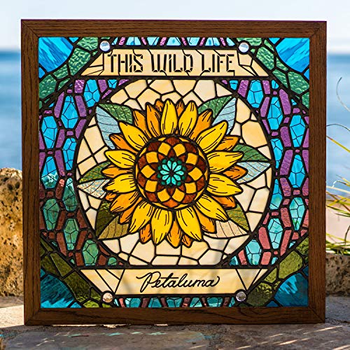 THIS WILD LIFE - PETALUMA (CD)