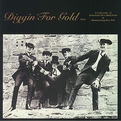 VARIOUS ARTISTS - DIGGIN FOR GOLD VOLUME 2 (VARIOUS ARTISTS) (VINYL)