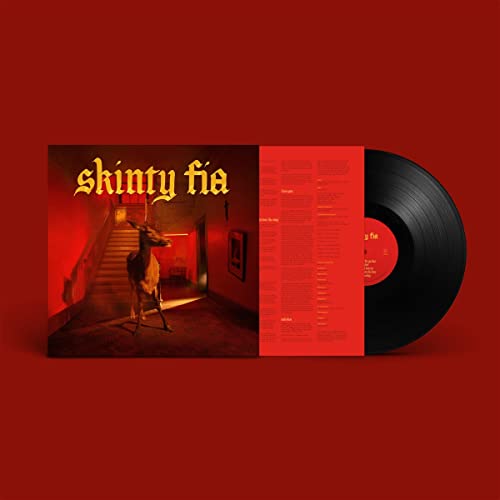 FONTAINES D.C. - SKINTY FIA (VINYL)