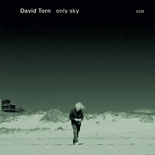 TORN, DAVID - ONLY SKY (CD)