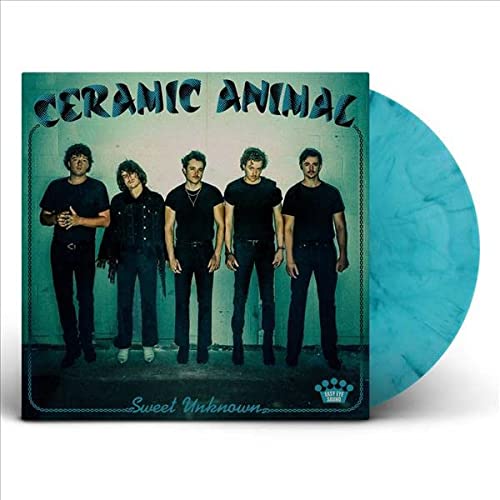 CERAMIC ANIMAL - SWEET UNKNOWN (VINYL)