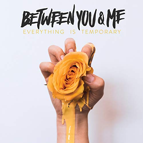 BETWEEN YOU & ME - EVERYTHING IS TEMPORARY (VINYL)