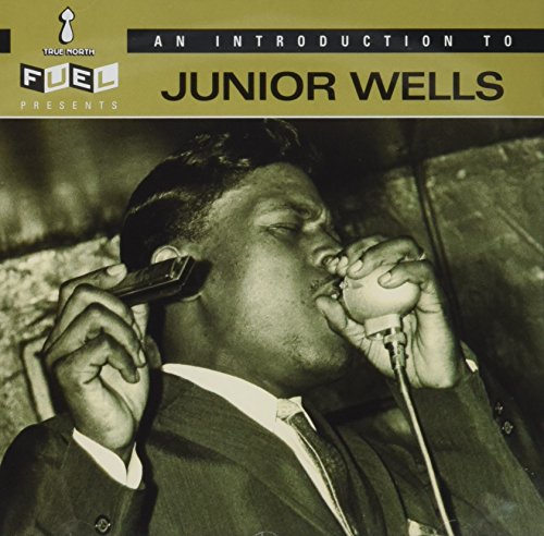 WELLS JUNIOR - WELLS JUNIOR - AN INTRODUCTION TO (CD)