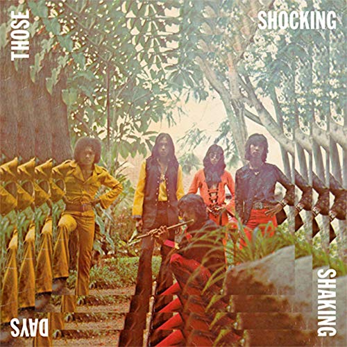 VARIOUS ARTISTS - THOSE SHOCKING SHAKING DAYS (VINYL)