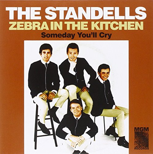 THE STANDELLS - ZEBRA IN THE KITCHEN/SOMEDAY YOU'LL CRY (VINYL)