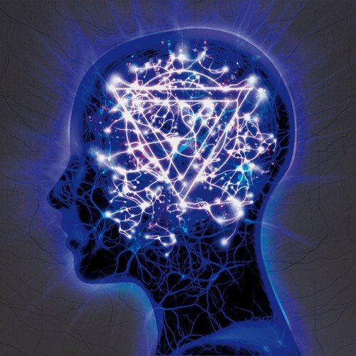 ENTER SHIKARI - THE MINDSWEEP (VINYL)