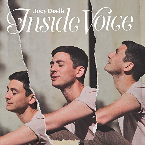 DOSIK,JOEY - INSIDE VOICE (CD)