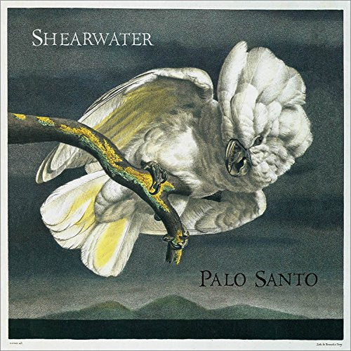 SHEARWATER - PALO SANTO (VINYL)