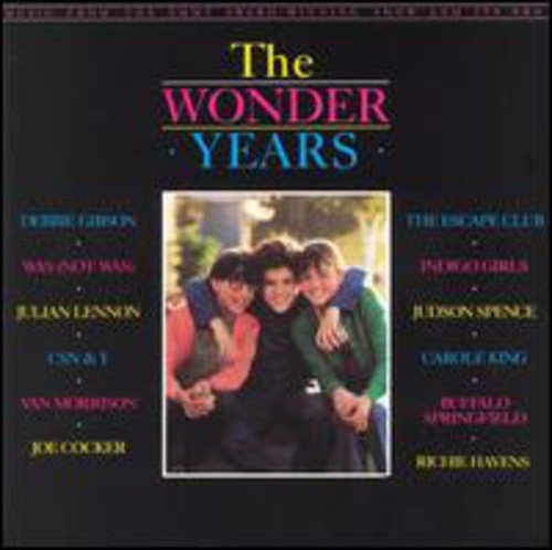 VARIOUS ARTISTS (COLLECTIONS) - THE WONDER YEARS (CD)