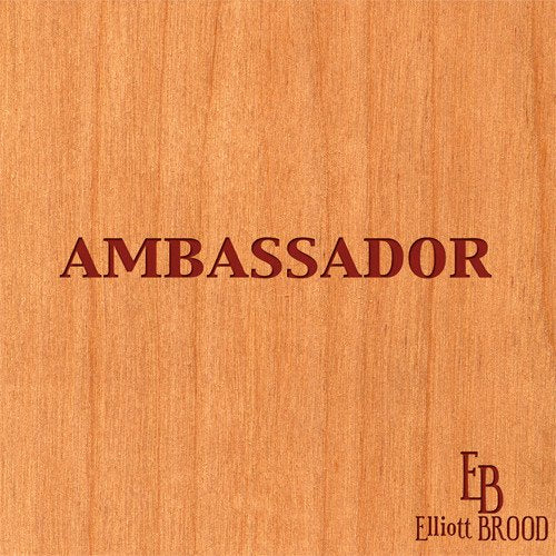 ELLIOTT BROOD - AMBASSADOR (VINYL)