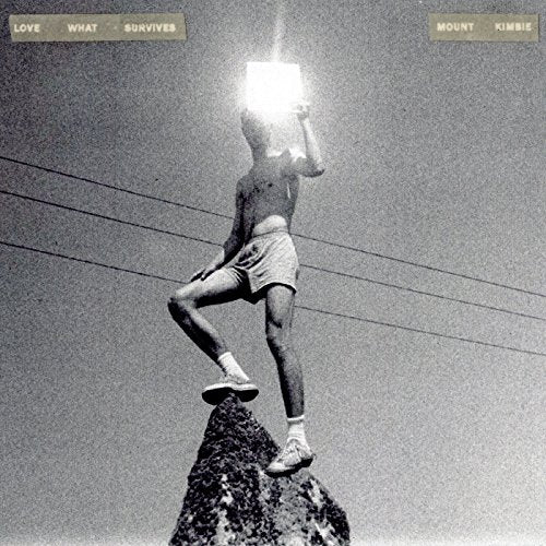 MOUNT KIMBIE - LOVE WHAT SURVIVES (2LP VINYL)