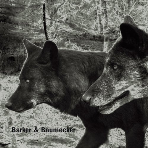 BARKER & BAUMECKER - TRANSSEKTORAL (CD)