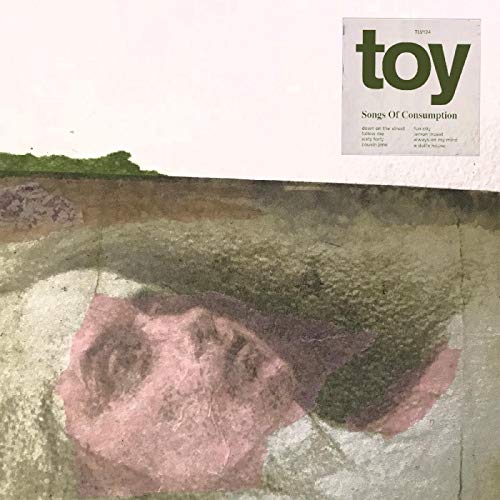 TOY - SONGS OF CONSUMPTION (CD)