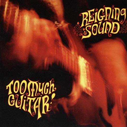 REIGNING SOUND - TOO MUCH GUITAR (CD)