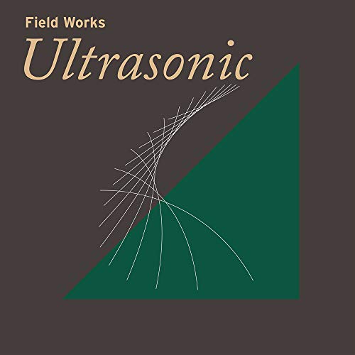 VARIOUS ARTISTS - FIELD WORKS: ULTRASONIC (CD)