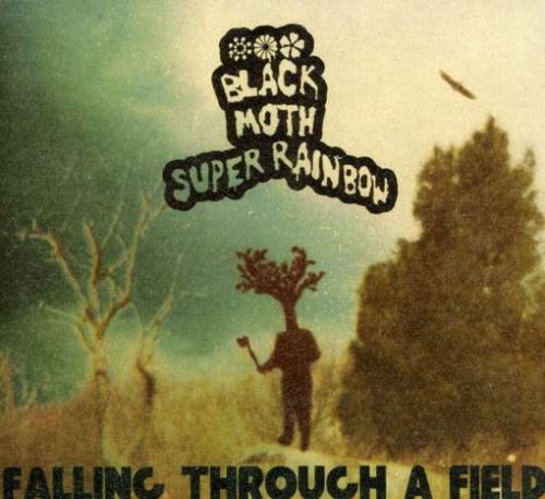 BLACK MOTH SUPER RAINBOW - FALLING THROUGH A FIELD (CD)