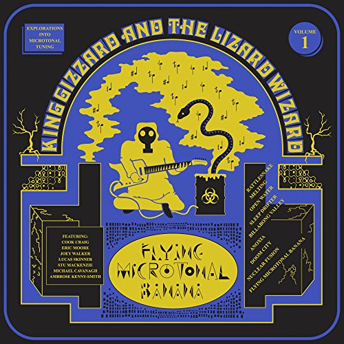 KING GIZZARD & THE LIZARD WIZARD - FLYING MICROTONAL BANANA (VINYL)