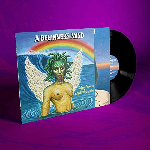 SUFJAN STEVENS - A BEGINNER'S MIND (VINYL)