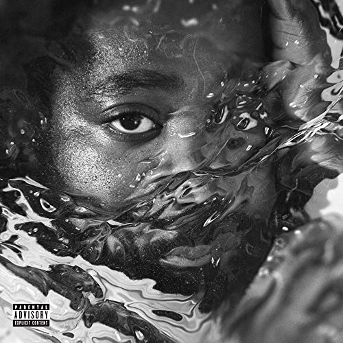 R.LUM.R - SURFACING (CD)