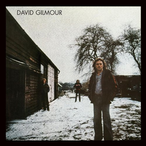 GILMOUR,DAVID - DAVID GILMOUR (CD)